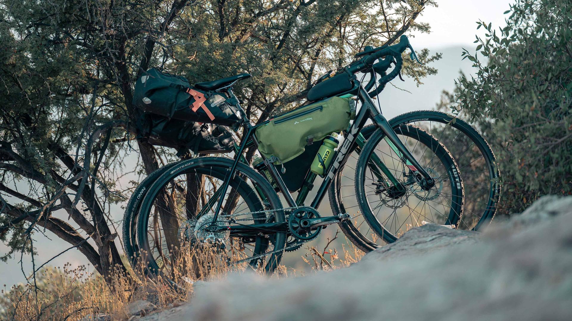 Kickstand Roxter 2.0 | CLUXX
